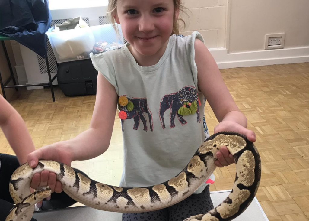 Discovery Club Summer Programme - Wise Owls Childcare