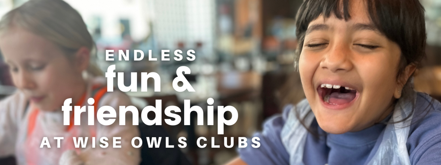 Wise Owls Day Nursery, Holiday Club and After School Clubs